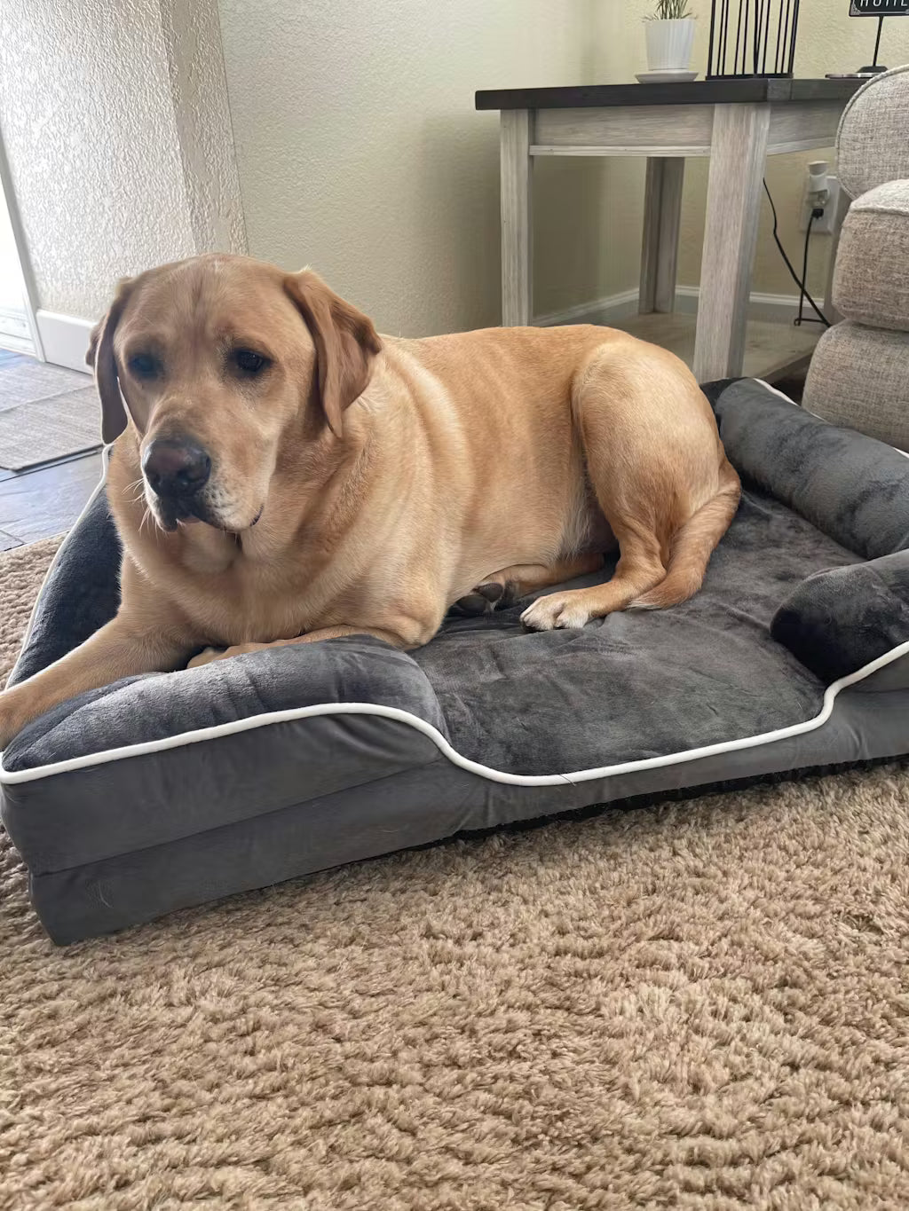 LuxeLounge Orthopedic Dog Bed — S (Preorder)