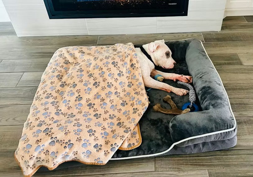 LuxeLounge Orthopedic Pet Bed