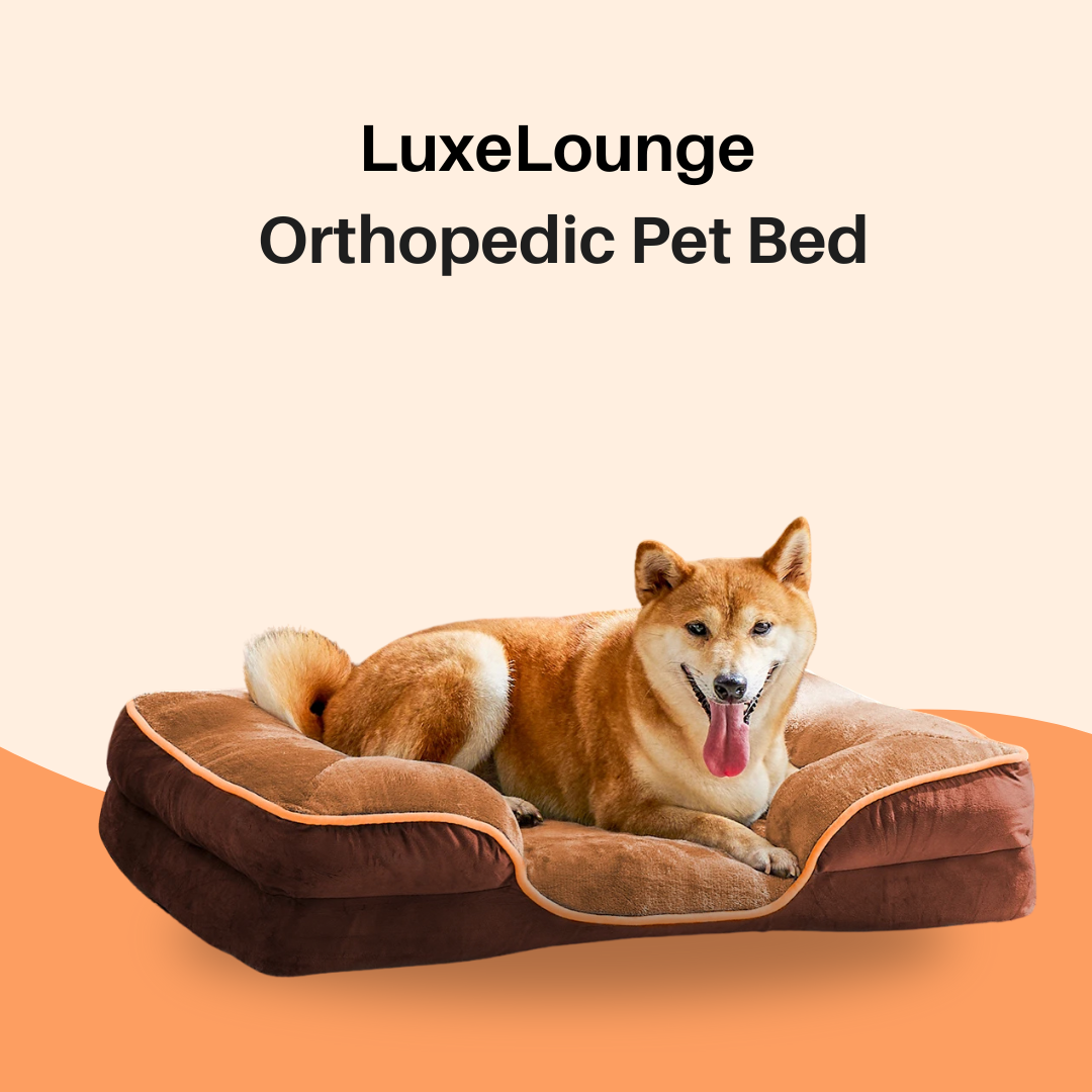 LuxeLounge Orthopedic bed 🐾”