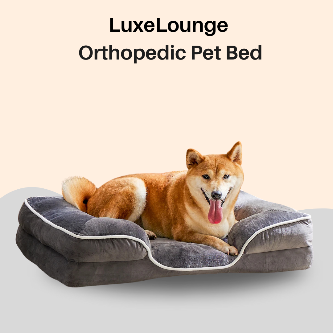 LuxeLounge Orthopedic bed 🐾”