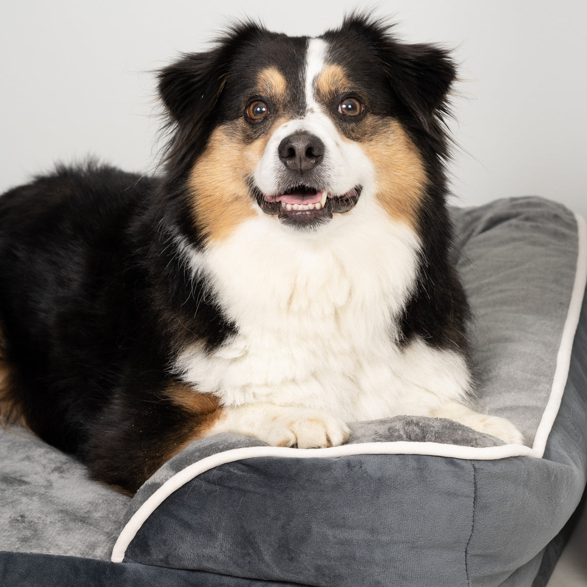 LuxeLounge™ Orthopedic Pet Bed – Gray