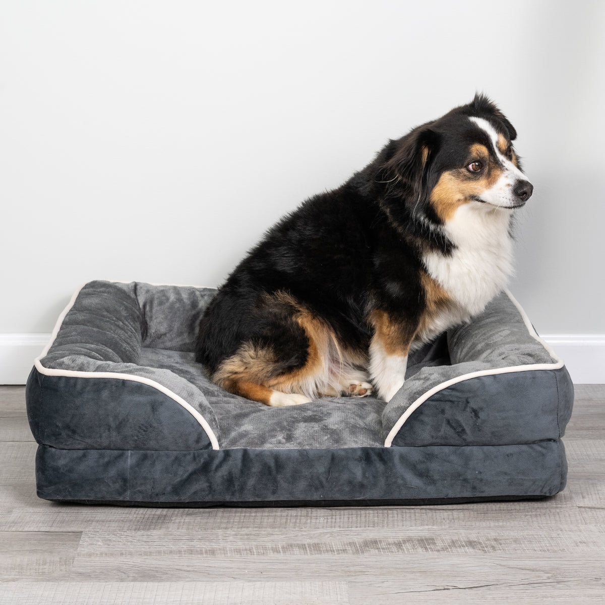 LuxeLounge™ Orthopedic Pet Bed – Gray