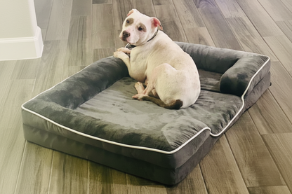 LuxeLounge Orthopedic bed 🐾