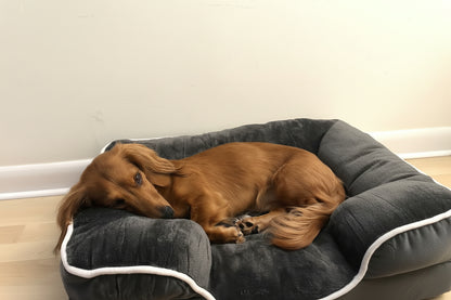 LuxeLounge Orthopedic Pet Bed 🐾