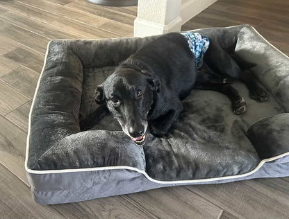 LuxeLounge Orthopedic Pet Bed 🐾