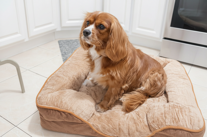 LuxeLounge Orthopedic bed 🐾