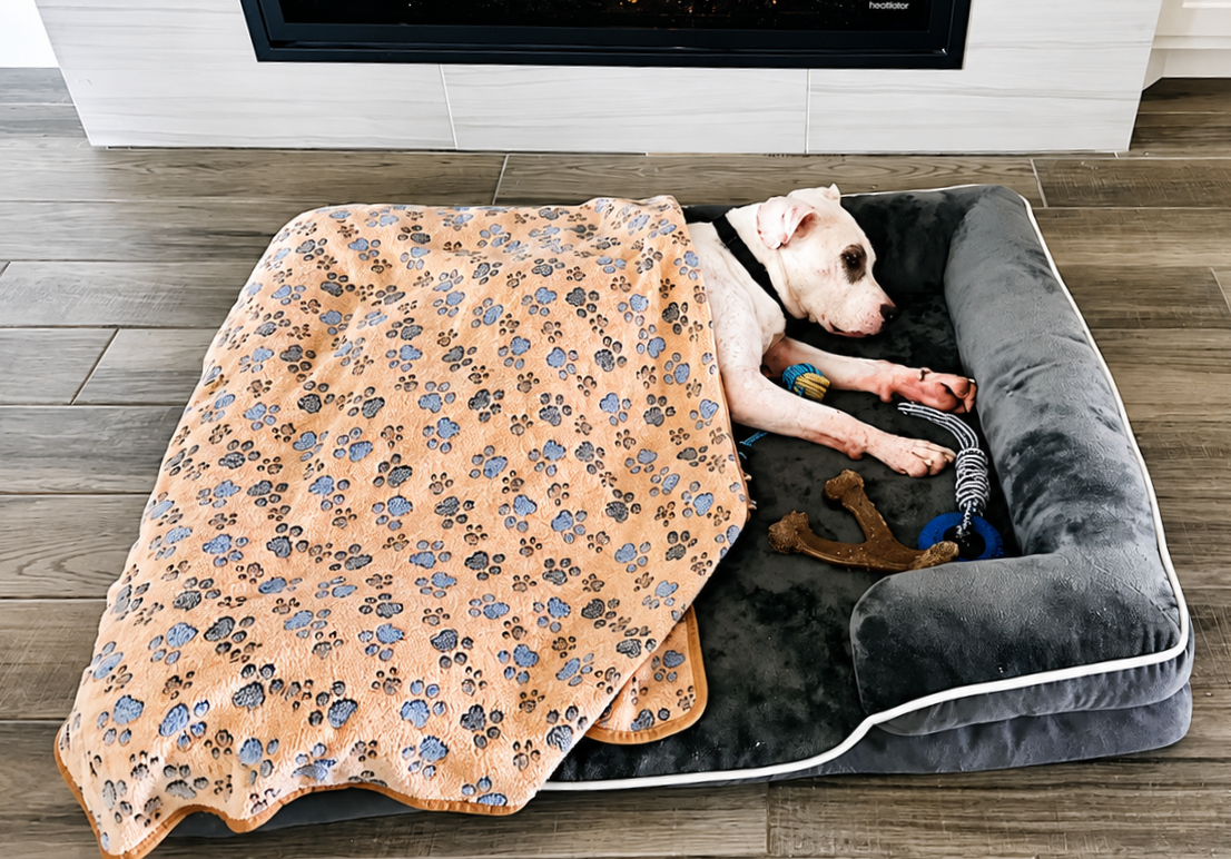 Orthopedic Comfort & Cozy Blanket Bundle