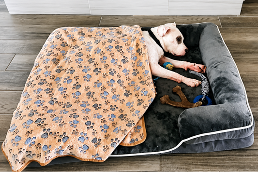 Orthopedic Comfort & Cozy Blanket Bundle
