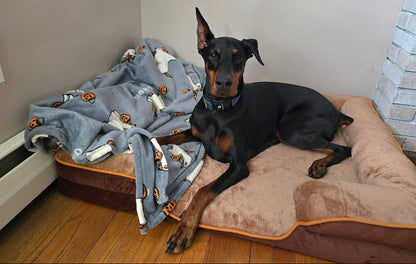 LuxeLounge Orthopedic Dog Bed — S (Preorder)