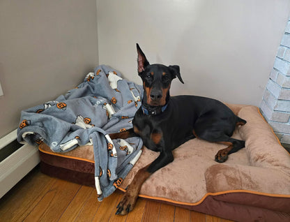 LuxeLounge Orthopedic Dog Bed — Medium (Preorder)