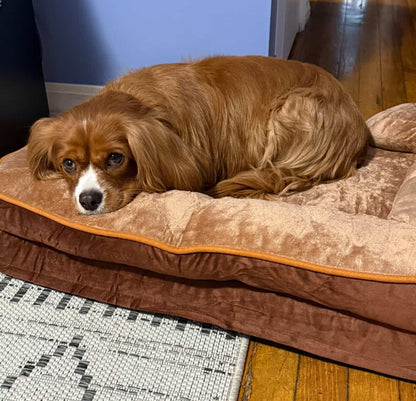 LuxeLounge™ Orthopedic Pet Bed – Gray